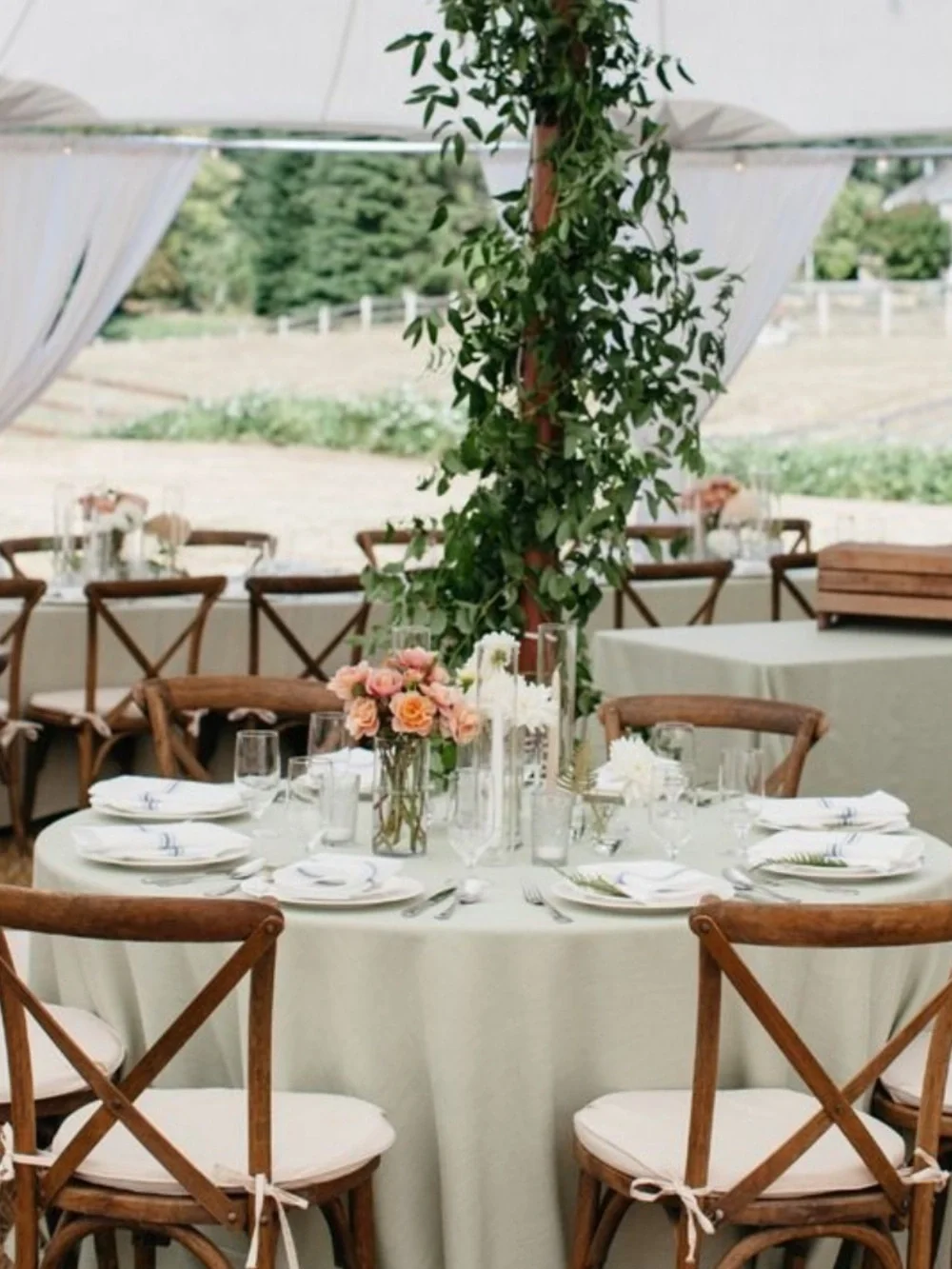 (3) 120 inch Celery Round Panama Tablecloths  for a wedding